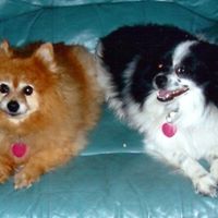 Doris Rhoades Photo 4