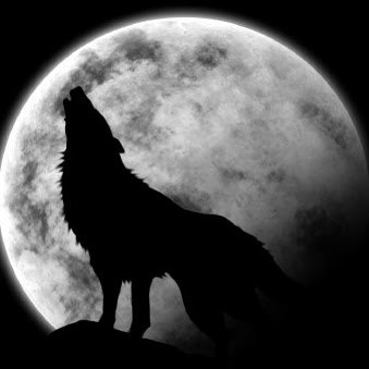 Rick Wolf Photo 15
