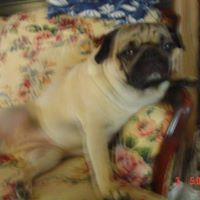 Brenda Slack Photo 7