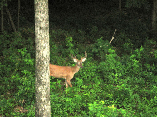 Chris Weekley Photo 27
