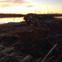Mark Conrad Photo 37