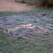 Gary Frost Photo 31