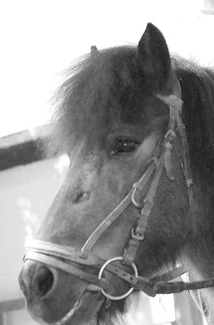 Louise Marchand Photo 9