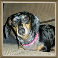 Frankie Hooper Photo 2