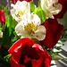Adrianne Flowers Photo 5