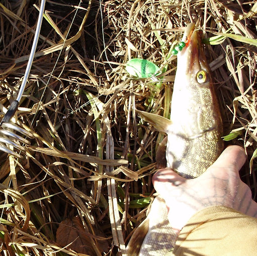 Randy Hardy Photo 12