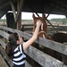 Linda Lindsey Photo 45