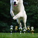 Dawn Berger Photo 15