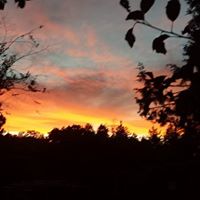 Carol Chaney Photo 10