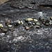 Amber Word Photo 19