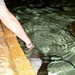 Jerry Ripley Photo 8