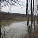 Virginia Castleman Photo 13