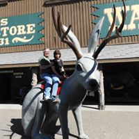 Lynda Helms Photo 19