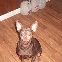 Dawn Conner Photo 4