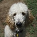 Connie Pond Photo 2