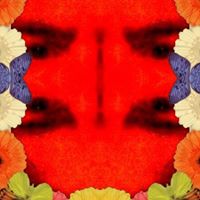 Charlie Swanson Photo 17