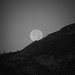 Charles Molle Photo 6