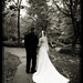 Paul Bowlin Photo 17