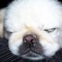 Penny Meeks Photo 9