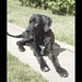 Dane Short Photo 7