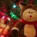 Rudolph Will Photo 8