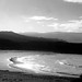 Dawn Hanson Photo 35