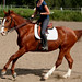 Sue Sorrell Photo 14