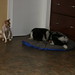 Rex Briggs Photo 9