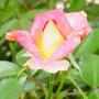Annie Banks Photo 33