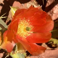 Pamela Tweed Photo 3