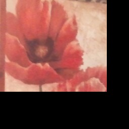 Julie Hutchins Photo 38