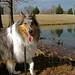 Robbie Pond Photo 2