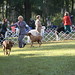Carol Snodgrass Photo 12