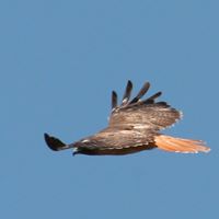 Gary Heath Photo 17