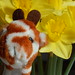 Timothy Day Photo 24