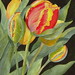 Donna Snyder Photo 8