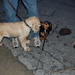 Darwin Friend Photo 7