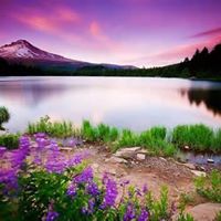 Diana Farris Photo 20