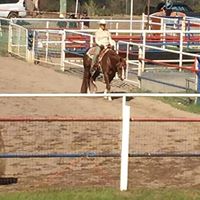 Debbie Pilgrim Photo 7