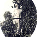 Edith Cook Photo 12