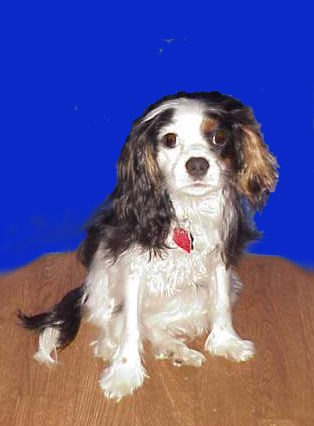 Anita Rader Photo 3