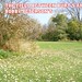 Franklin Burt Photo 10