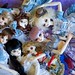 Michele Gold Photo 32