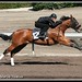 Brian Barrett Photo 34