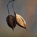 Dannie Sharp Photo 2