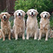 Lola Cooper Photo 35