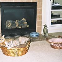 Arlene Russell Photo 8