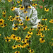Sherry Quinn Photo 28