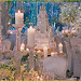 Susan Lavin Photo 9