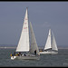 A Poole Photo 7
